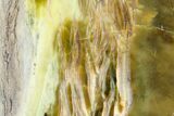 Chatoyant, Polished Pietersite Slab - Arizona #146440-1
